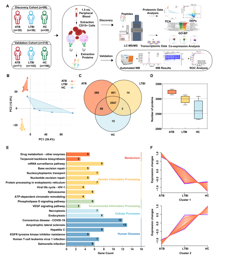 Figure1-小画板_画板 1